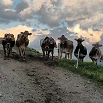 Farm stay Himmenhof