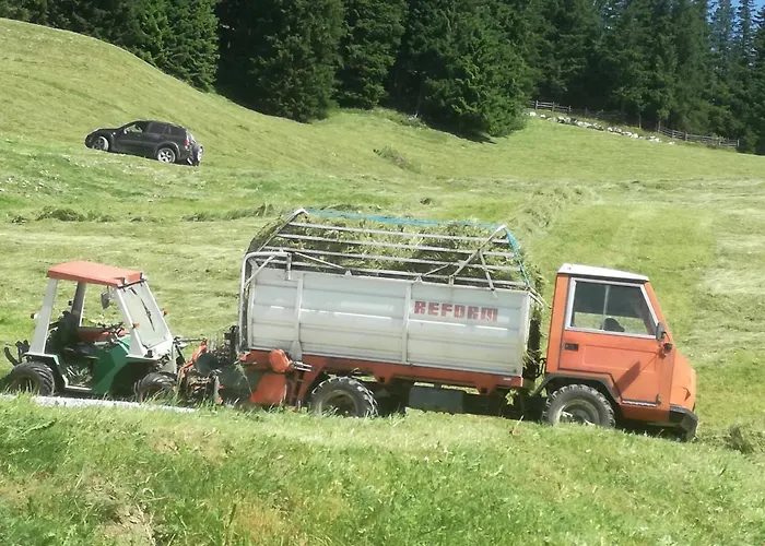 Himmenhof 农家乐 图克斯