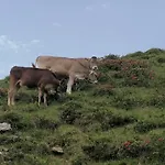 Himmenhof Gospodarstwo agroturystyczne