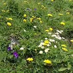 Gospodarstwo agroturystyczne Himmenhof