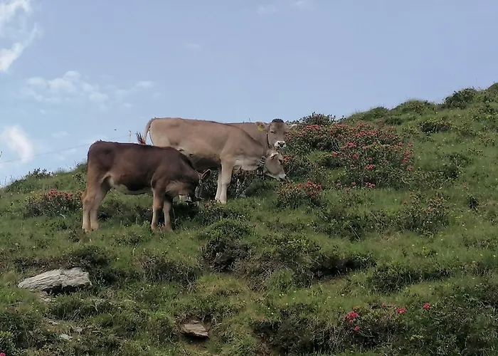 Himmenhof Feriegård